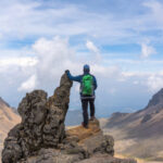 Interdum magna augue eget