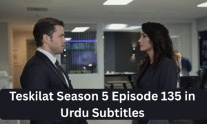Read more about the article Teskilat Season 5 Episode 135 in Urdu Subtitles