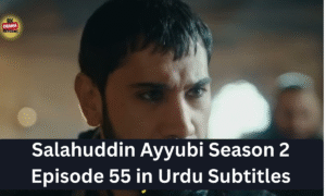 Read more about the article Selahaddin Ayyubi Season 2 Episode 55 with Urdu Subtitles