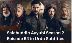 Read more about the article Selahaddin Ayyubi Season 2 Episode 54 with Urdu Subtitles