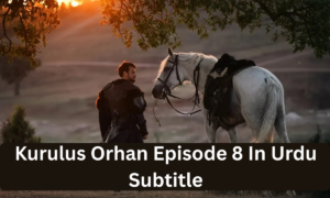 Read more about the article Kurulus Orhan Episode 8 in Urdu Subtitles